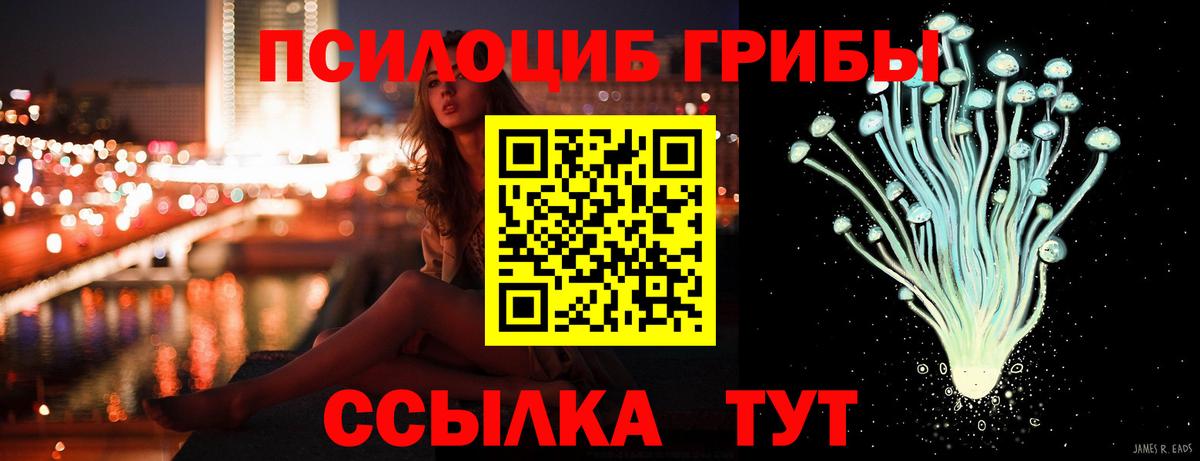 Псилоцибиновые грибы Cubensis Чистополь