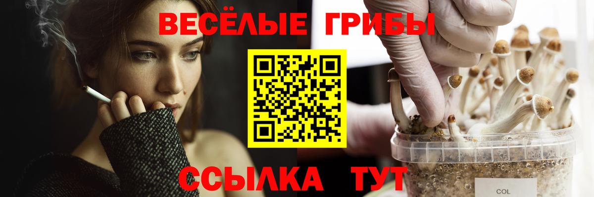 продажа наркотиков  Вход с VPN  Чистополь  Галлюциногенные грибы Magic Shrooms 